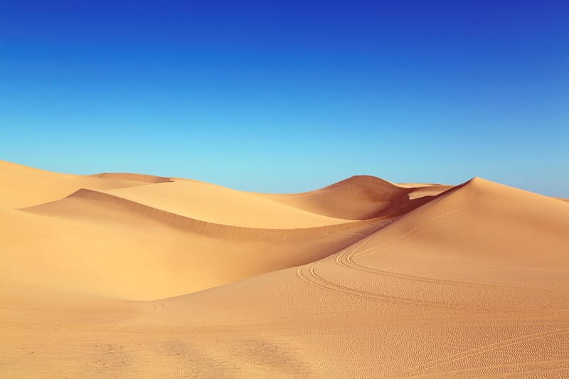 Desert Expeditions